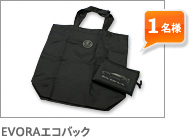 JEEP ロゴ入りボールペン（レザー製ケース付き） 1名様