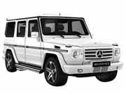 Gクラス (2009年～2010年)の画像