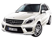 Mクラス (2012年～2013年)の画像