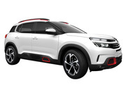 C5エアクロスSUV (2019年～2020年)の画像
