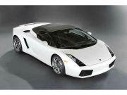 ランボルギーニ ガヤルドスパイダーの画像2