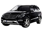 Mクラス (2014年～2015年)の画像