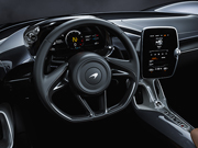 マクラーレン エルバの画像3