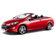 308CC (2009年～2010年)の画像