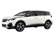 5008 (2019年～2019年)の画像