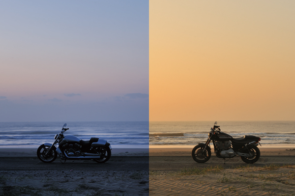 HARLEY DAVIDSON