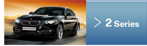 2 Series