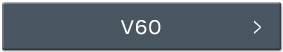 v60