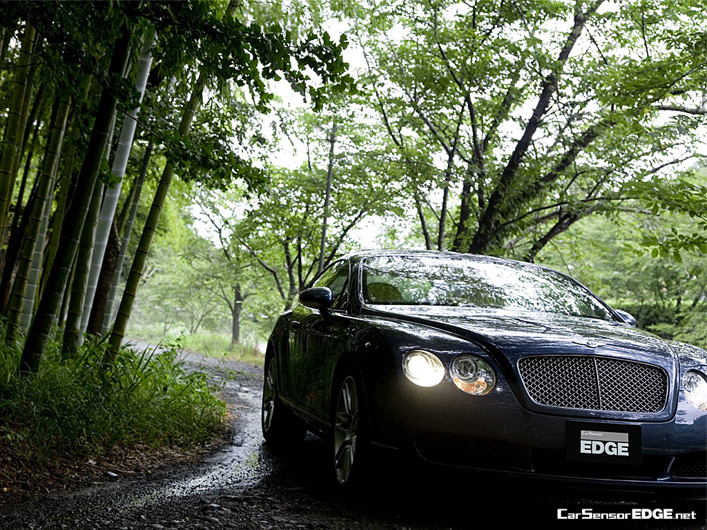 ベントレー コンチネンタルgtのフルモデルチェンジ Bentleyの車カタログ 輸入車 外車の中古車情報ならカーセンサーエッジnet